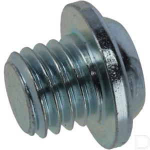 80033vj5003_2.jpg