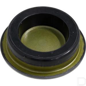 80042vk1013.jpg