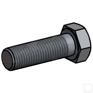 8005354.jpg