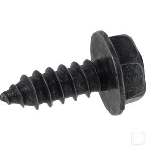 80079y09003.jpg