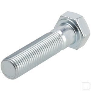 80086y09003_2.jpg
