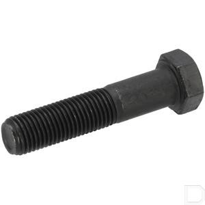 80088y09003_2.jpg