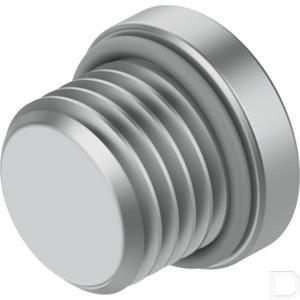 80955fe.jpg