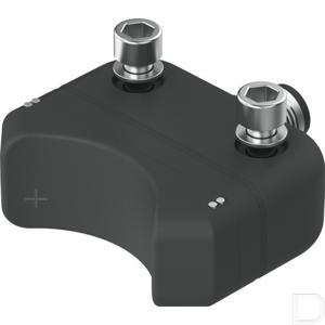 81555fe.jpg