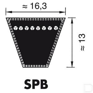 8560-spb1250.jpg