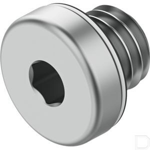86068fe.jpg