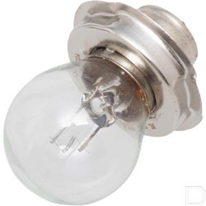 8ga008899121_2.jpg