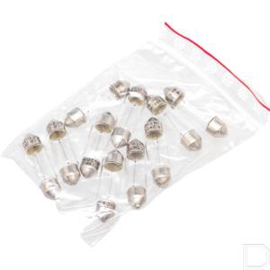 8gm002092241_2.jpg