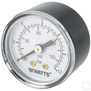 9052800.jpg