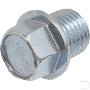 920662253.jpg
