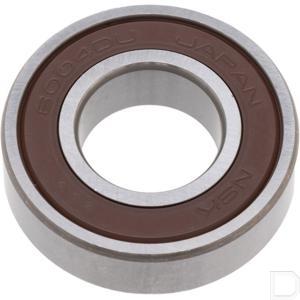 961506004010.jpg