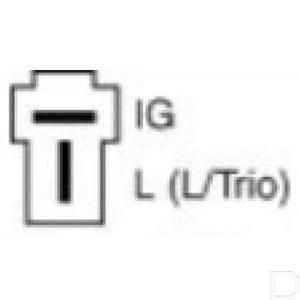 alt26250401_td.jpg
