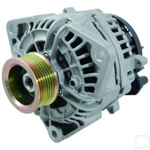 alt2625300.jpg