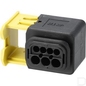 amp114184801_2.jpg