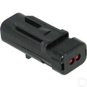 amp7764281ime_2.jpg