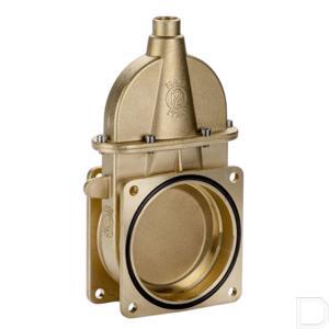 arzo0074200smo.jpg