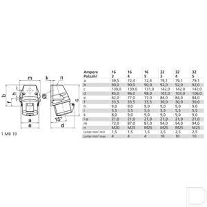 b011922_td.jpg