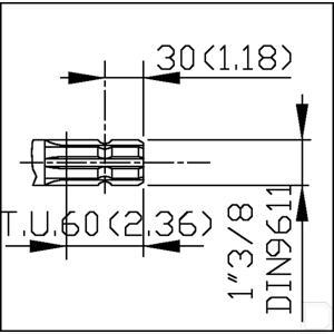 bertolini_pbo_1540_2_td.jpg