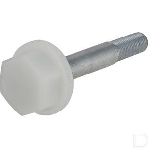 cg81004353h2.jpg