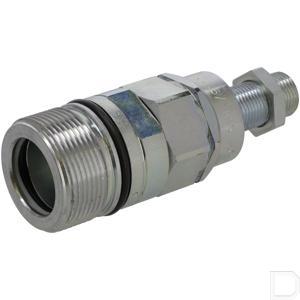 cvv1251815fv.jpg