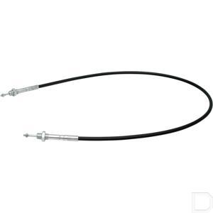 d018-c1x1000.jpg
