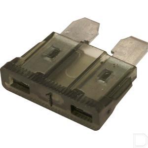 fs2001a_2.jpg