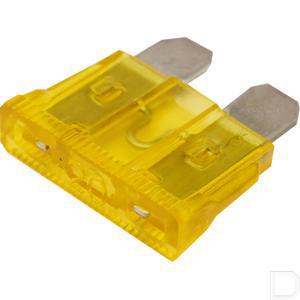 fs20020a_2.jpg