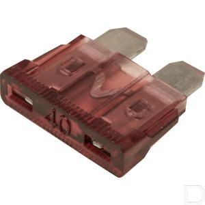fs20040a_2.jpg