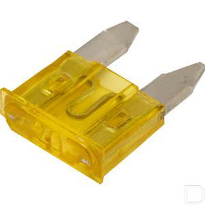 fs30020a_2.jpg