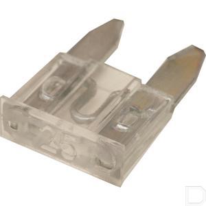 fs30025a_2.jpg
