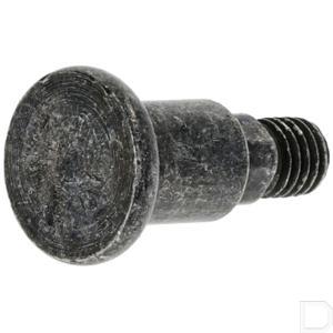 g135267.jpg