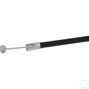 g1356699_3.jpg