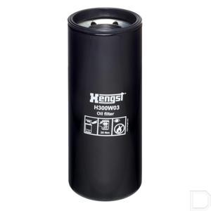 h300w03.jpg