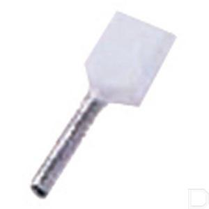 iciae058z.jpg
