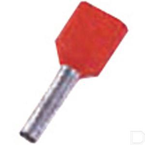iciae1012.jpg