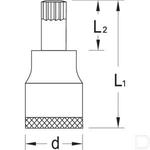 inx3010ged.jpg