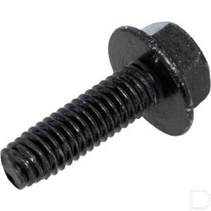 m645020s_2.jpg