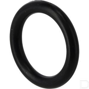 or23450p010_5.jpg