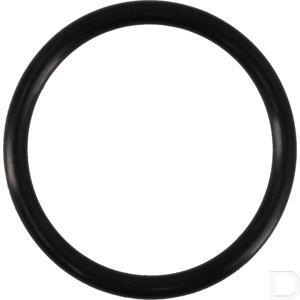 or2625090p010_2.jpg
