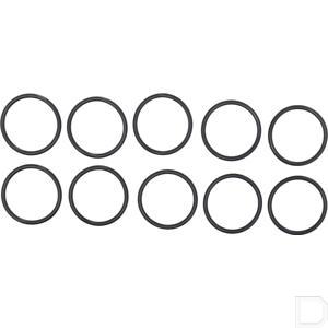 or408735390p010_2.jpg