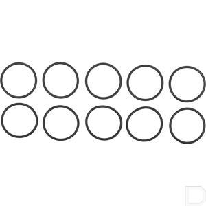 or41503p010_2.jpg