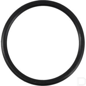 or43350p010_2.jpg