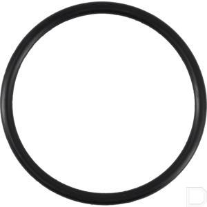 or44503p010_2.jpg