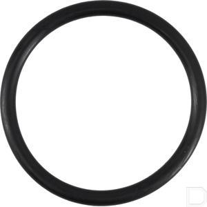 or50450p010_2.jpg