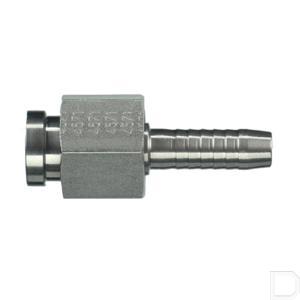 pav101145ss.jpg