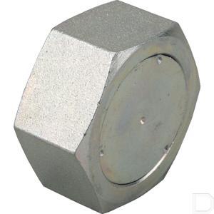 pfo32.jpg