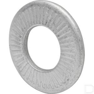 rl10p200_2.jpg