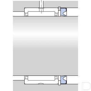rna_4917_24970_2_td.jpg