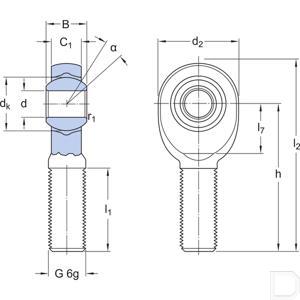 salkb_20_f_24970_td.jpg