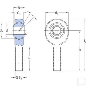 salkb_8_f_24970_td.jpg